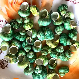 海螺/贝壳;工艺原料;风铃