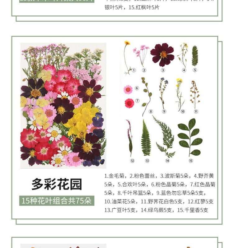 20cf4e10-9570-4306-90aa-9889a16b1bf9.jpe