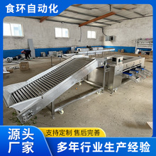 冬枣分选机 车厘子圣女果不伤果分选机 土豆全自动滚杠式分级机
