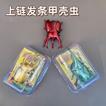 �羳�l�l��朷���񶷼��x���������xģ�̓�ͯ������߷�������