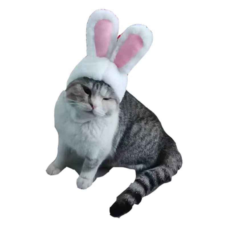 Домашние животные кошки собаки белые кроличьи уши шляпы