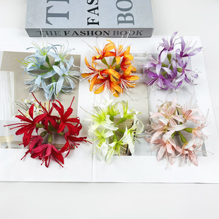 ���潁����˰��� �L���m�����^�diy���϶Y�з��bñ�Y���仨