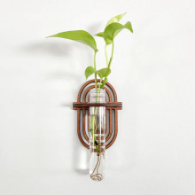 羳ڒʽľ|҃Decorate your house with plants