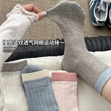 纯色网眼袜子女夏季薄款中筒袜日系撞色袜口堆堆袜配德训鞋无骨袜
