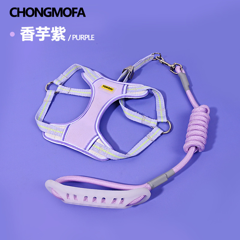 Color block striped harness - purple / S size small - recommended for wearing 1.5-3kg