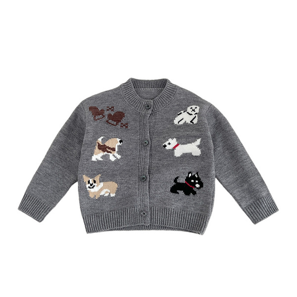 Sweater for boys