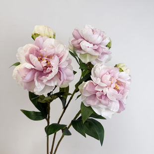 �P��ĵ�����滨ĵ���ٻ��[�O��ș���Ҿӿ͏d�b�ˇ�����[����c