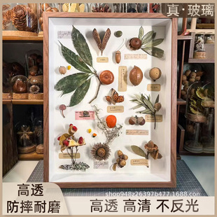 ֲ��˱�չʾ�п����w���diy�ֹ�����ֲ��ɻ��������~����[̨