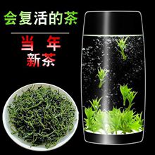 毛冬青茶云南产嫩芽茶叶正宗青山绿水毛冬青茶大货批发零售