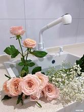 ʯӢʯ��ɫˮ�۴�β�̨��̨�N��ˮ��ϴ��ػ�����ϴ����ϴ