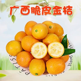 代用/养生茶;苹果;花果茶