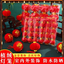 ��tֲ�qС���\����҃ȑ���P����������������c���b�����Ʒ