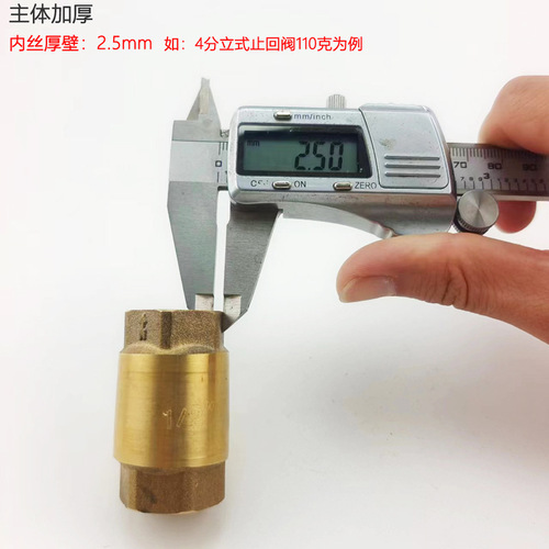 Brass vertical spring check valve water pipe water pump valve 4 separate check valve one-way water meter front valve check valve