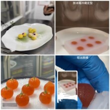 ���B����С��۹��zģ�� �⾳����˷���ɰ����Ľ˹ ����ģ��