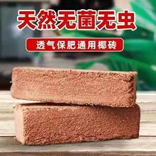 Ҭ�u�I�B���B��ͨ����Ҭ��ֲ�ﻨ���N������Ó�}�ʶ��������Nֲ��