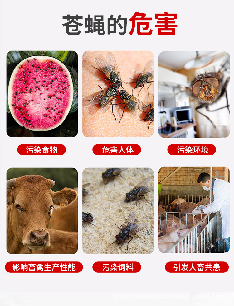 详 (2).jpg