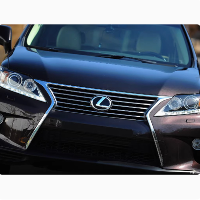 Soporte de cambio de lámpara 12 - 14 Leica RX Sass   Apoyo de cambio de lámpara