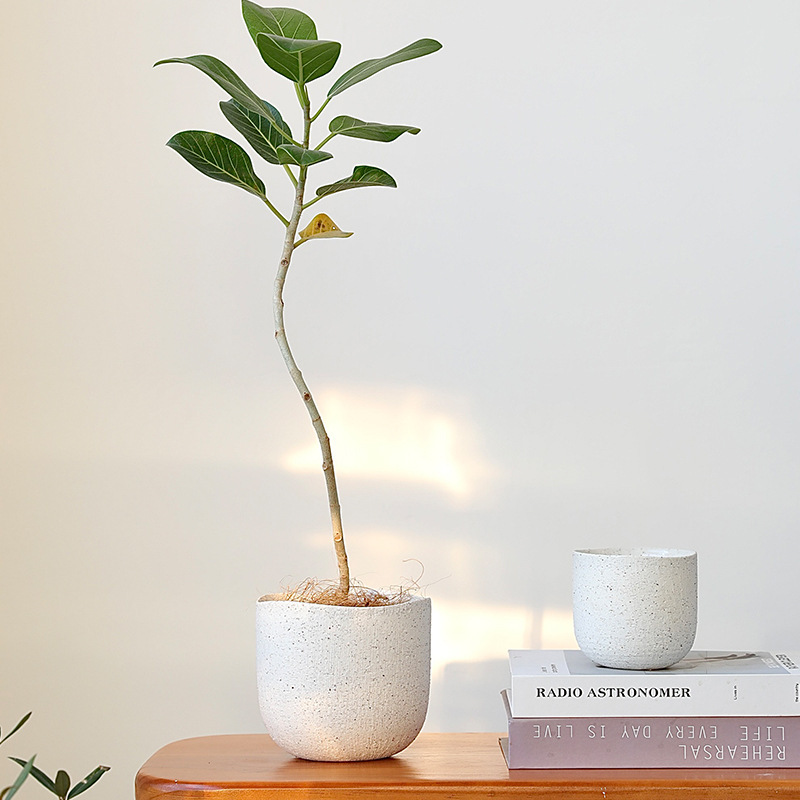 Scandinavian White Creative High-End Ceramic Flower Pots Stoneware Design Rough Pottery Pots Green Plant Pots Set Pots Desktop Home