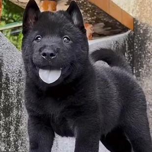 ������w�����pѪ�y���Ȯ���A��@Ȯ�V�����CȮ�o�lȮ�������l