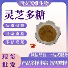 灵芝多糖30% -90% 灵芝菌丝粉 灵芝提取物 水溶 现货