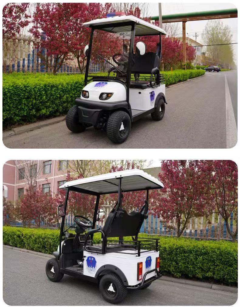 The New Bonderson E600 Electric Four-Wheeler with Steering Wheel and Two Seats Is Suitable for Property Patrol Electric Vehicles