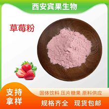 草莓粉喷雾干燥草莓汁粉 草莓浓缩汁粉100g/袋小样 仅供企业测试