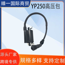 �m�����R���ֺ�250 300 �R��˹��250�y�� YP250�߉��� �߉��c��