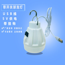 低压带开关球泡灯DC头灯泡露营夜读移动电源太阳能系统用节能灯泡
