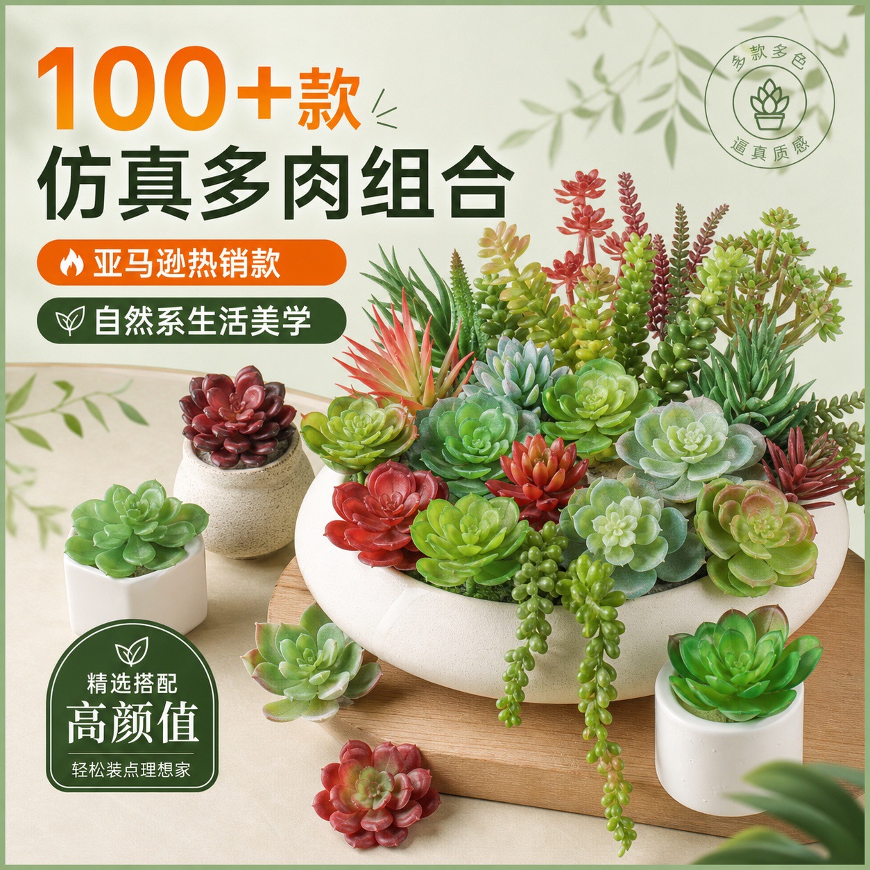6101多肉 (3).jpg