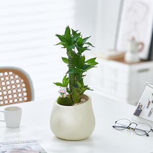 ���F�������Ĳ����k���ҿ͏d�҃ȾGֲ������������������Gֲ����