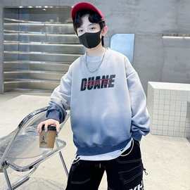 天才鲸男童卫衣长袖秋装学生打底衫2025新款圆领中大童春秋季上衣