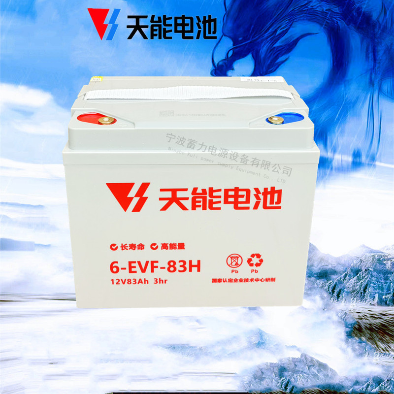 Tianneng 6EVF80A battery noricilin forklift battery automatic Lida truck stacker battery