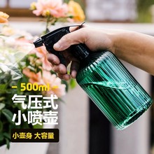 家用植物洒水小喷壶喷水壶小型水壶喷花养花喷雾浇花花洒浇水神器