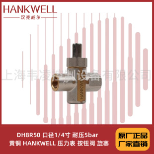 DH8R50 �ڏ�1/4�� �͉�5bar  �S�~ HANKWELL ������ ���o�y ����