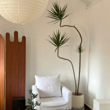 ǧľ҃ȿ͏dֲ~RβFWtGֲļͥԺB