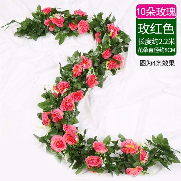 10 Duo-Rose Red Rose 1