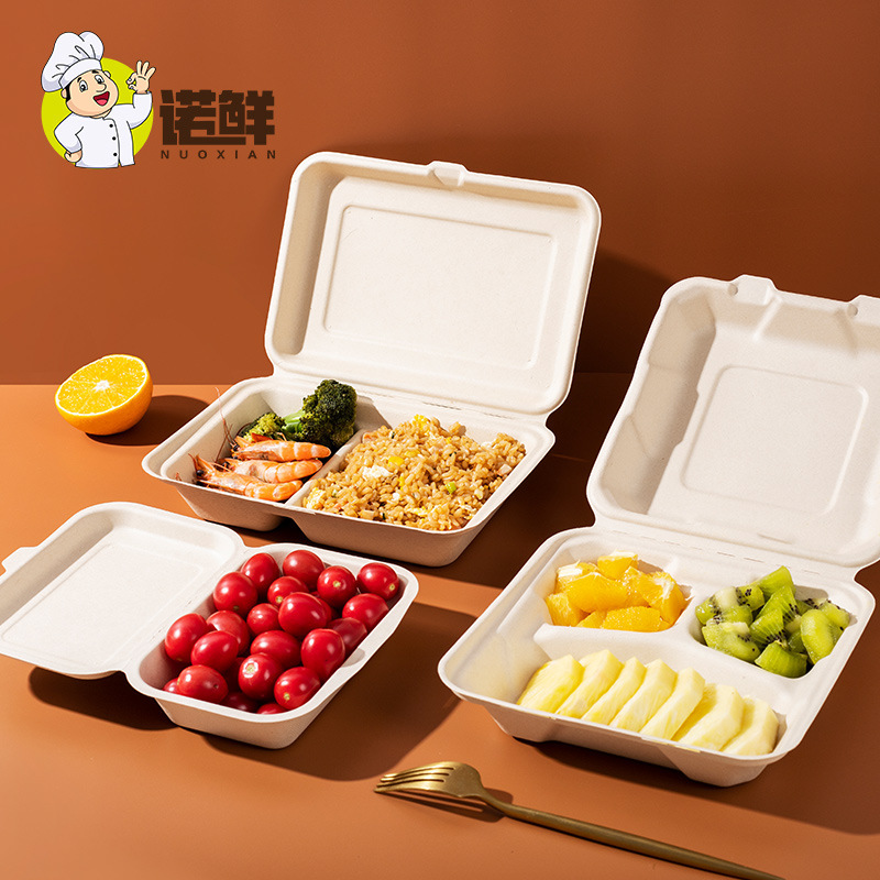 一次性饭盒可降解纸浆餐盒带盖连体打包外卖盒食品级便当盒可降解|undefined