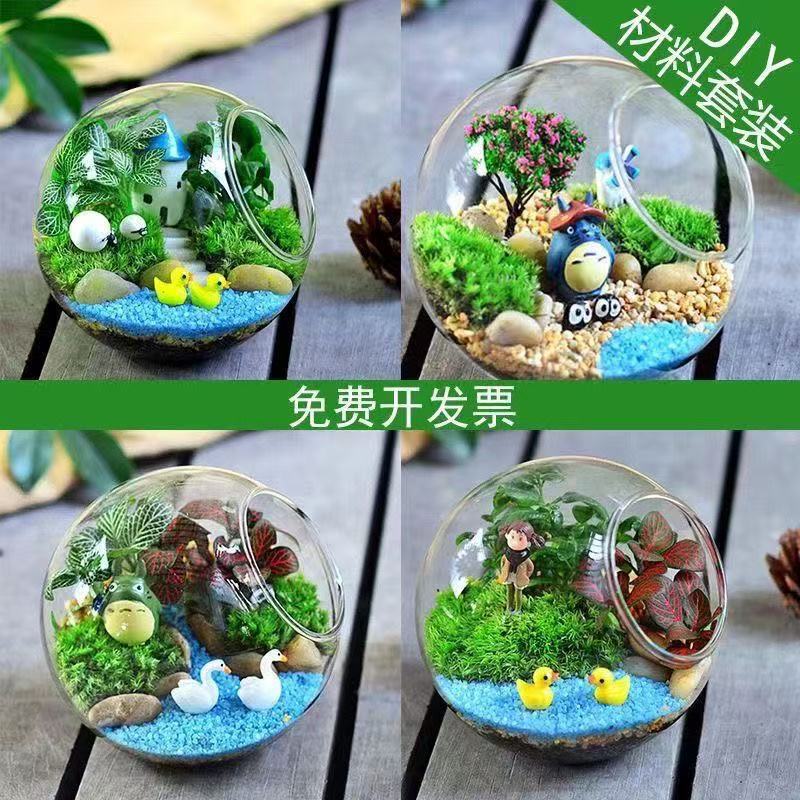 Active micro-landscape fleshy diy plant potted handmade material package micro-landscape glass bottle suit Active micro-landscape fleshy diy plant potted handmade material package micro-landscape glass bottle suit