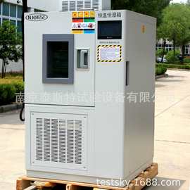 恒温恒湿箱图片 价格  恒温恒湿新品箱品牌 品质商家找泰斯特设备