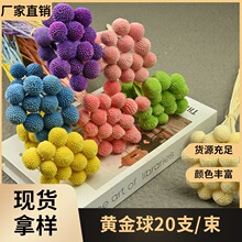 幻花永生花黄金球20支/束花材diy圣诞节黑色干花生日云南保鲜花