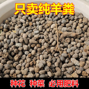 ��S�l���ЙC����Ȼ�N���ܹ��߲˻���׷�ʟo��ζ������S��S��