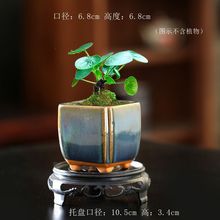 С���G׃�{�ٴ���մɼ����̨�������ջ��P��С̖������}