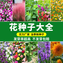 ܷN ļNlM̫ꖻ˹հղտrձ