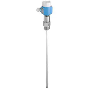 E+H Endershouse Tuning Fork Limit Измерение FTM21-AA245A TUNing Fork Material Switch Совершенно новый оригинал
