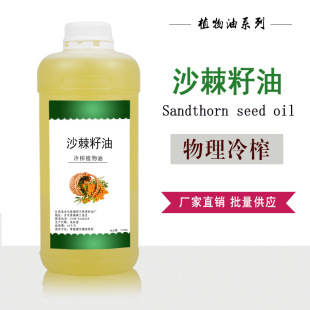 ���R��ɳ������ ɳ������ ֲ���� �o�w��Ħ�� DIY�ֹ������A��