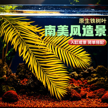 �����F���~���~������ԭ�����b��~�W�t���~���~�~���쾰�Gֲ�b