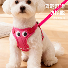 ���������K������С��Ȯ����ʽ�ر���ͨ�޹��K�ӌ�������S���l