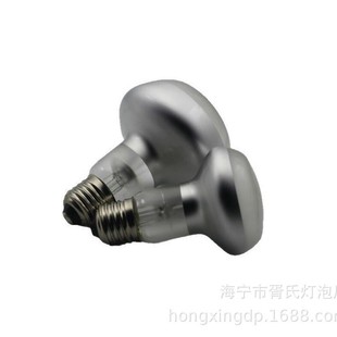 New climbing pet day lamp R80 75W 100W powerful spotlight UVA reptile lamp in stock supply