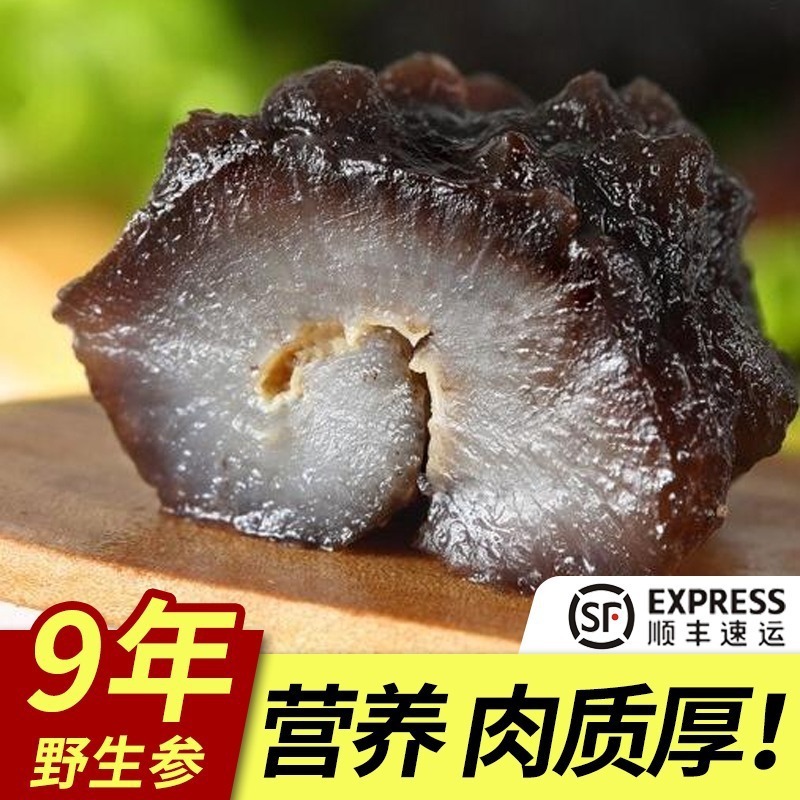 sea cucumber precooked and ready to be eaten sea cucumber Fresh Turkey Dalian sea cucumber single sea cucumber On behalf of