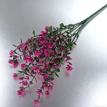 7���ȼ����軨���ϻ�����ٻ��Gֲ�G�����̻�c�b�c�Ҿӷ���